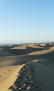 Sea from the Desert