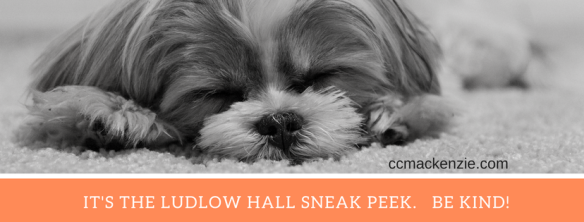 IT'S THE LUDLOW HALL SNEAK PEEK. BE KIND !